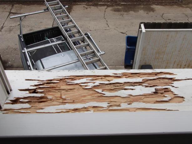 Termite damaged window sill